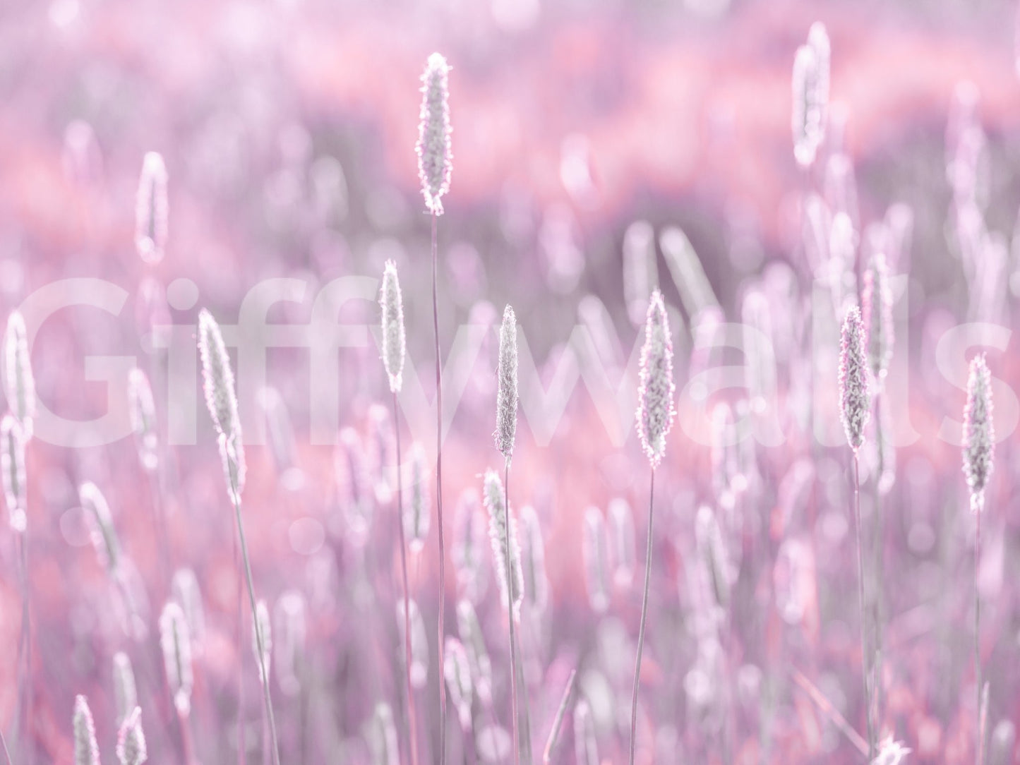 Pink floral meadow with pastel tones wallpaper