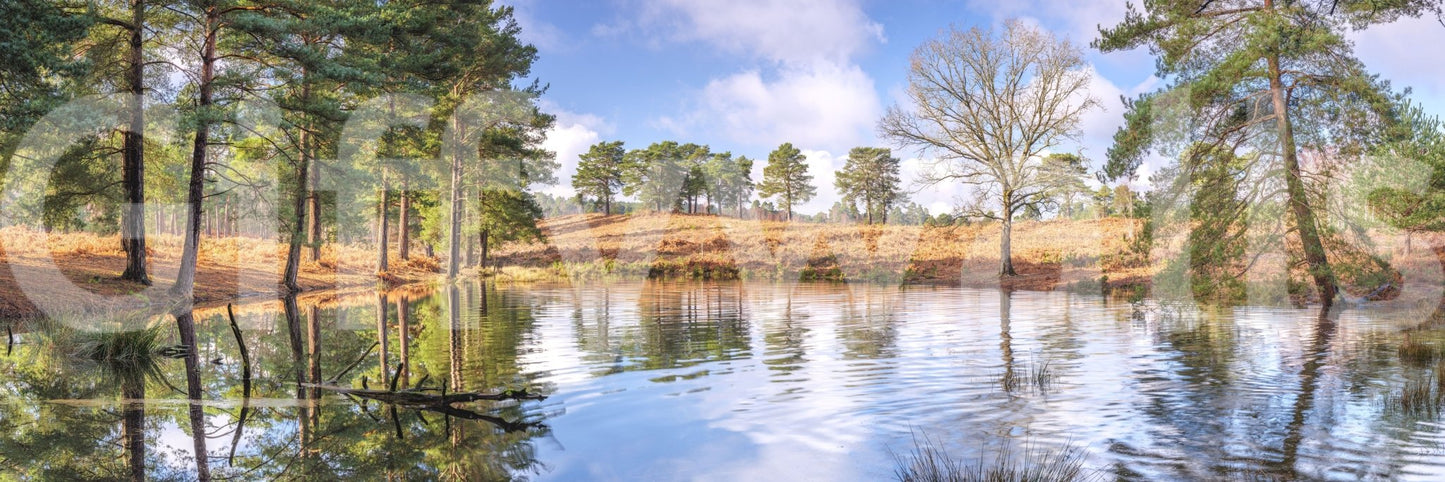 Minimalist lake wall mural
