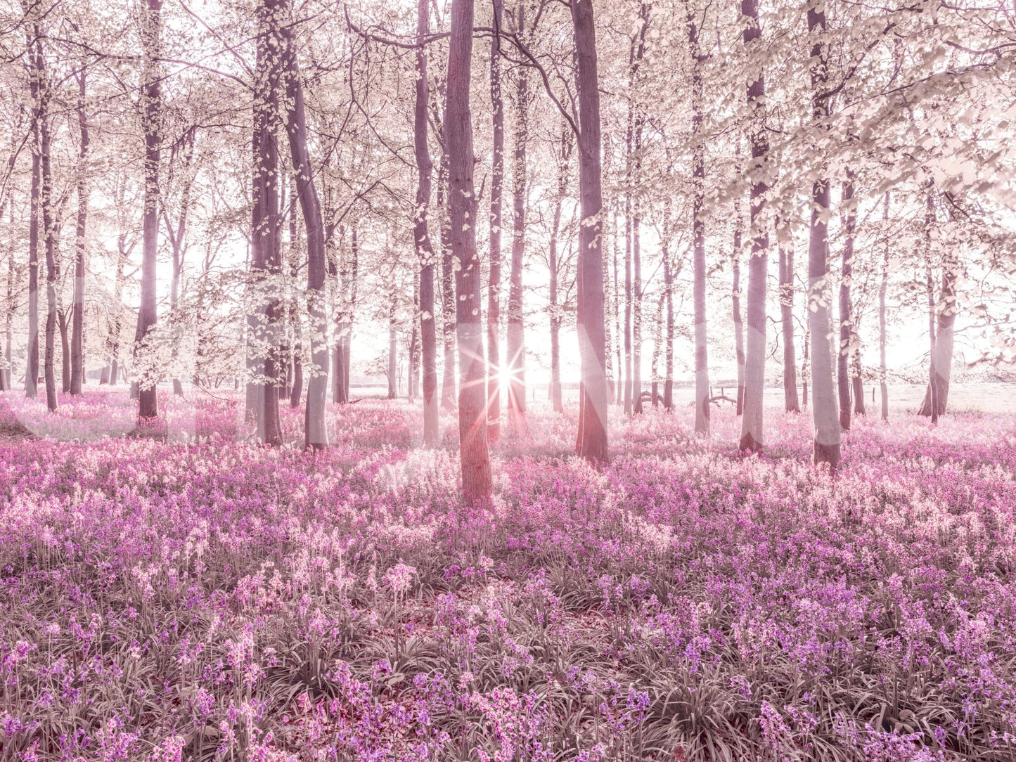 The Roseate Woods mural gives the space a classic and timeless feel.