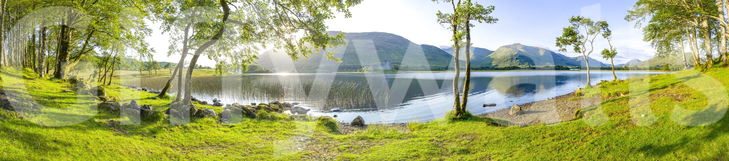 A high-quality minimalist wall mural for walls.