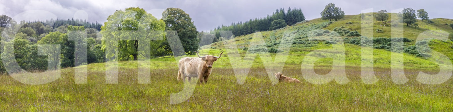 Wallpaper for walls countryside view