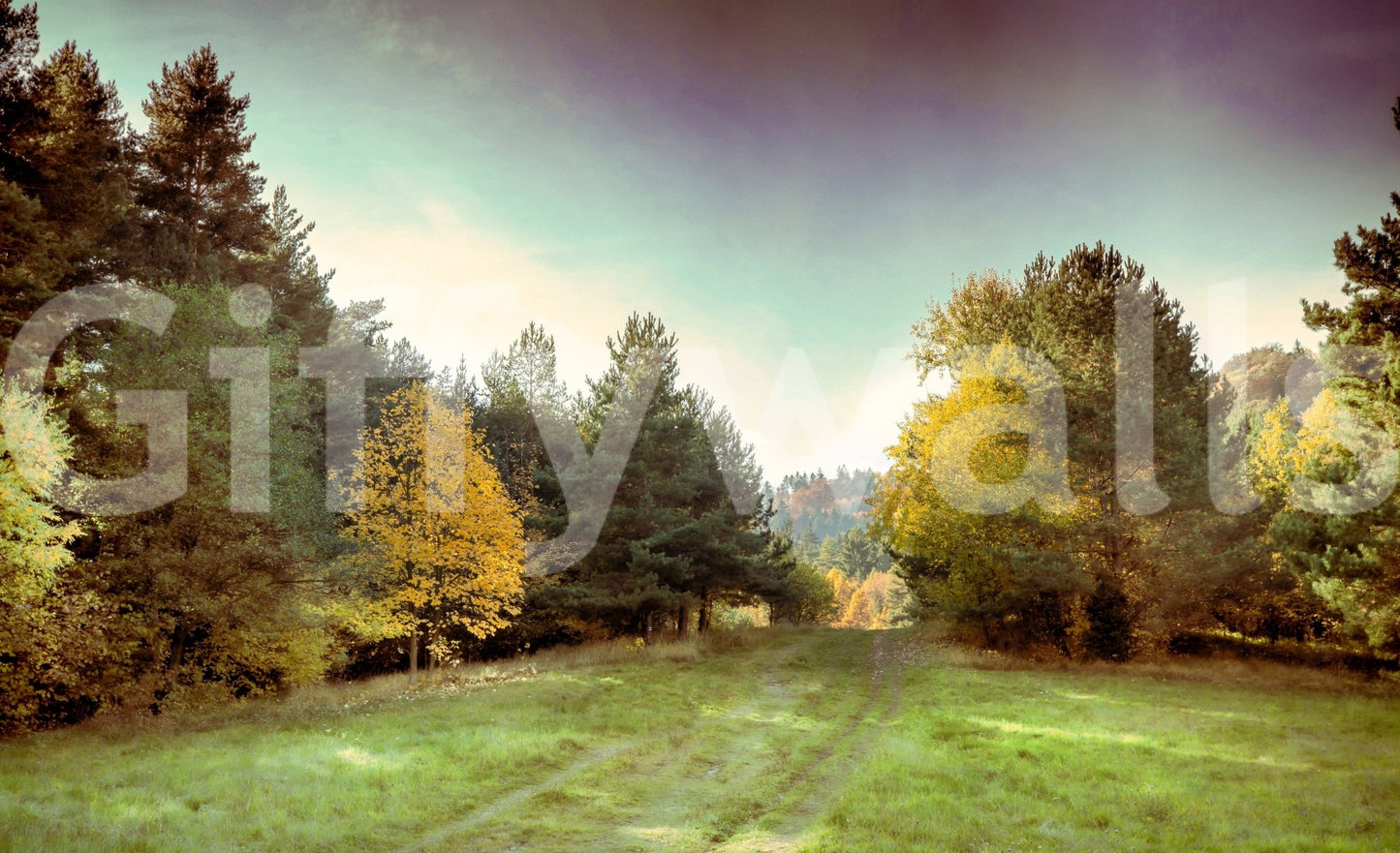 The Serene Autumn mural gives the room a quiet, natural feel.