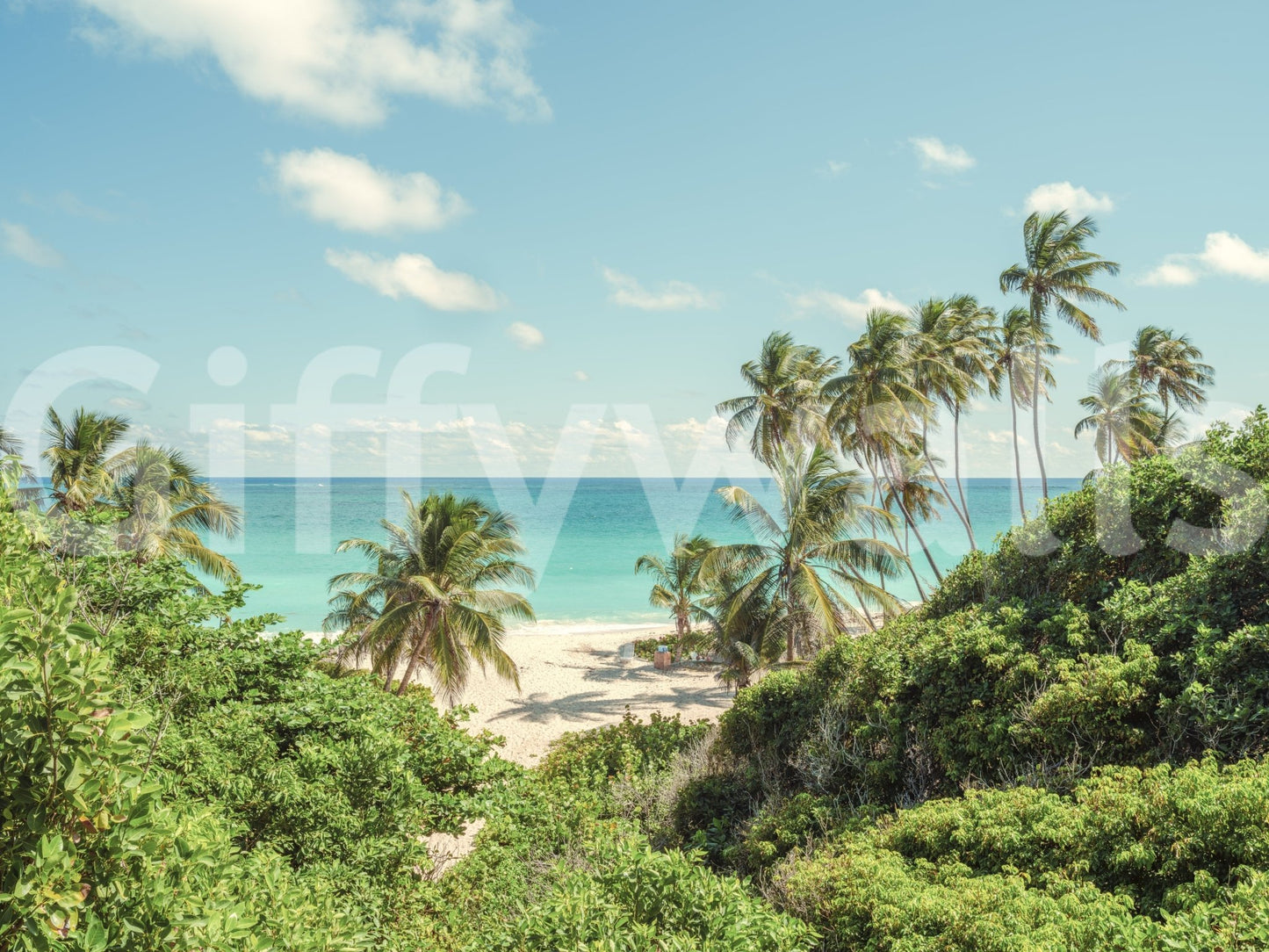 Serene Coastal Paradise Wall Mural