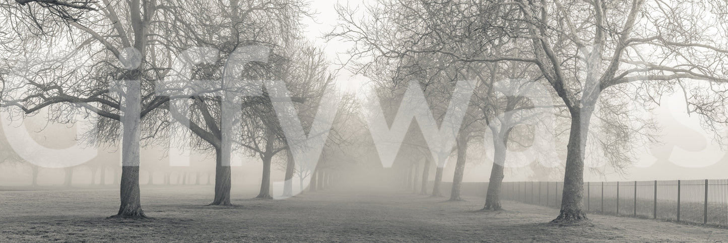 A high-quality minimalist tree wall mural for walls.