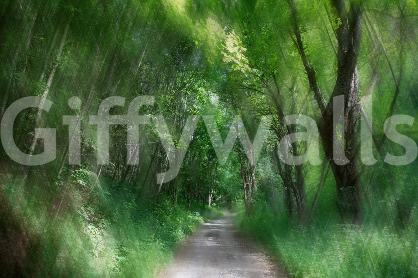 Serene Forest Pathway Art Print | Tranquil Nature Photography | Green Landscape Decor Wall Mural