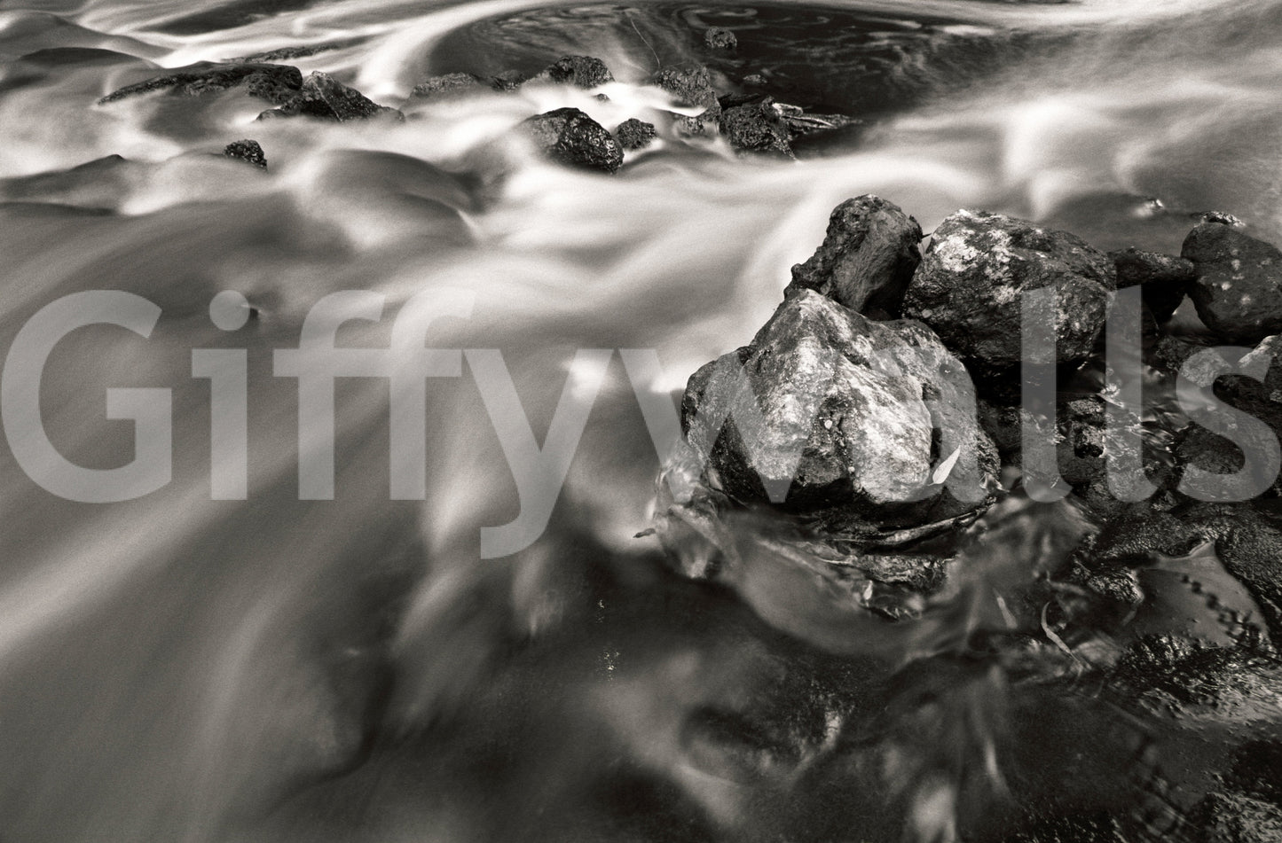 A high-quality serene stream wall mural for walls.