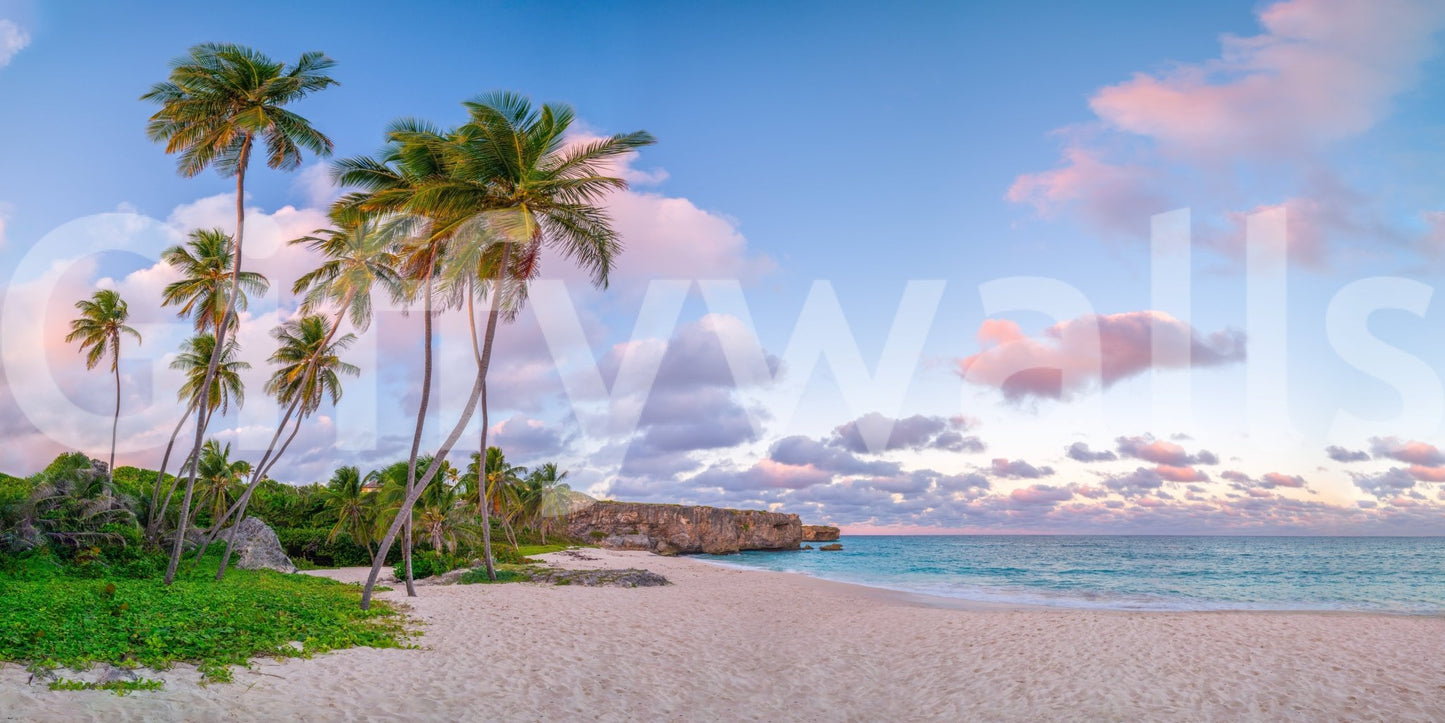 Relaxing tropical mural featuring calm ocean and warm sky.