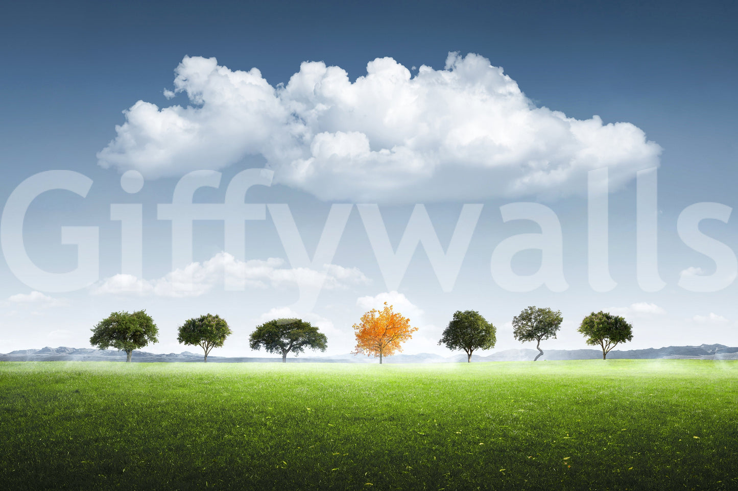 Standing Out wallpaper mural close-up showing a row of green trees with one bright orange tree under a big cloud