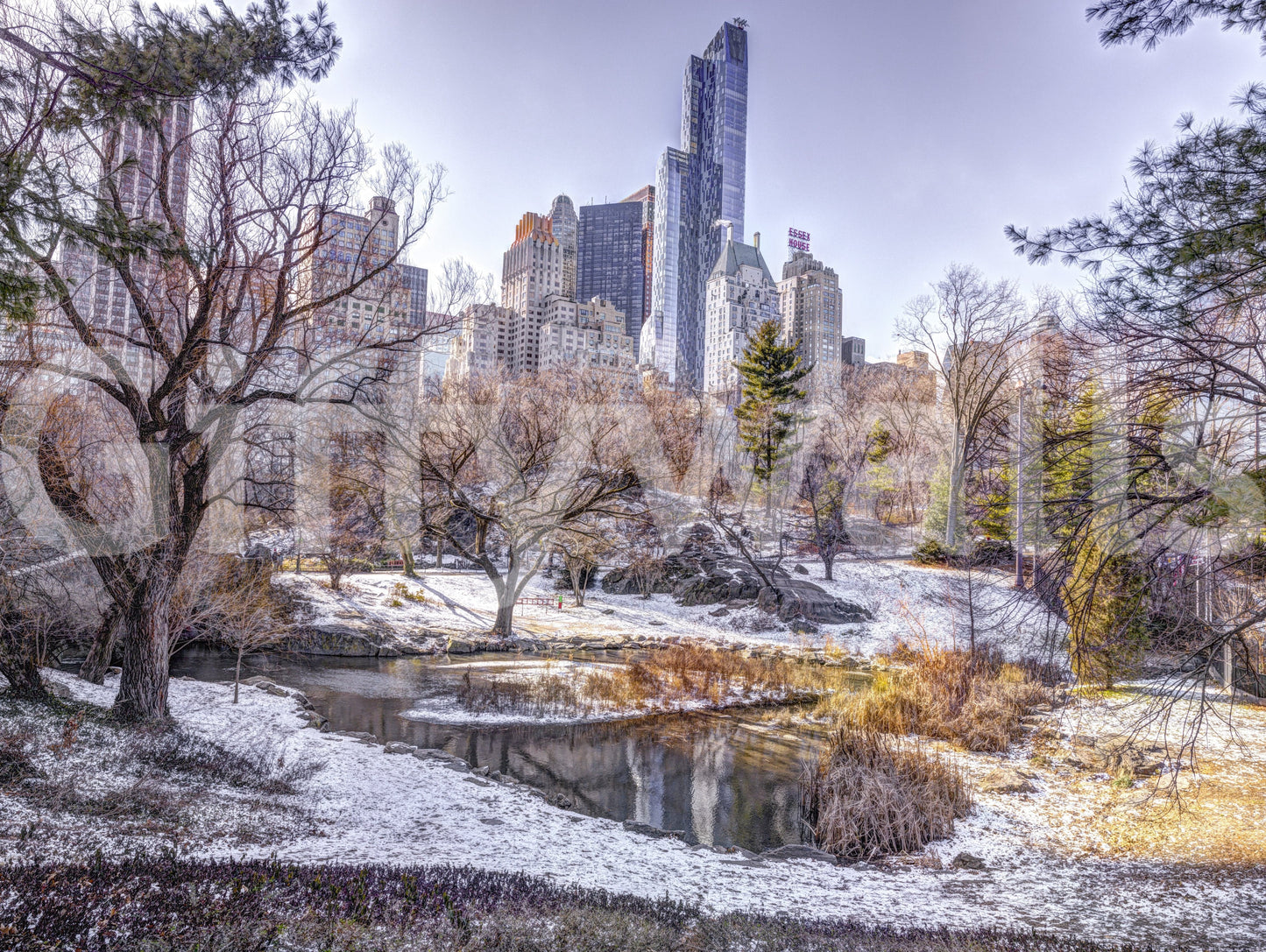 Snowy Central Park Wall Mural