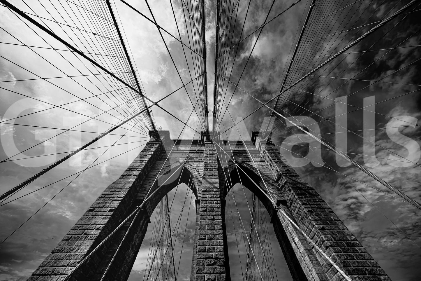 Suspended in Stone Wall Mural -2333758