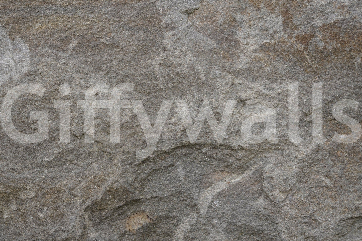 Stone Whispers Wall Mural -2566631