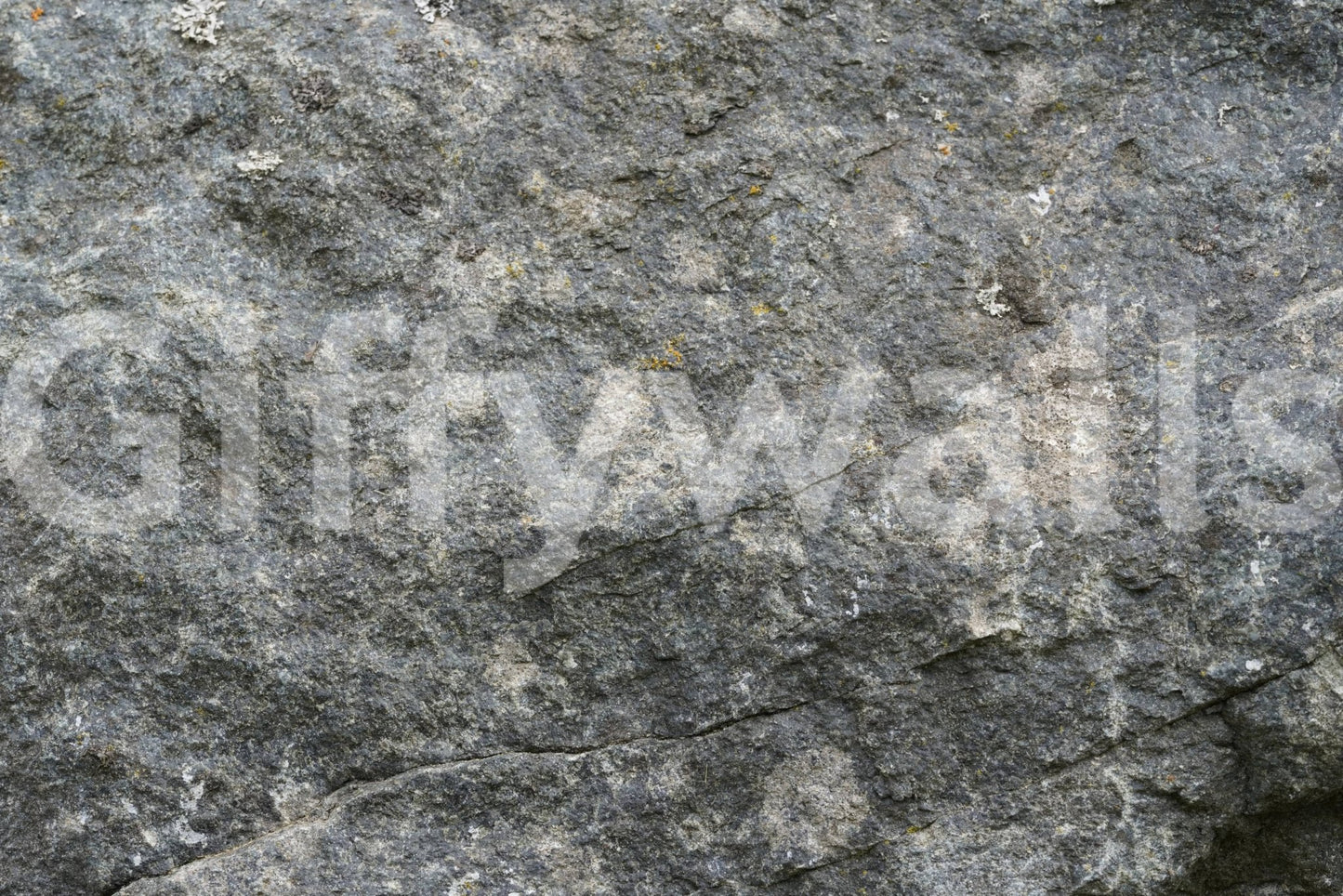 Textured Rock wallpaper mural close-up showing the speckled grey-green granite surface with fine cracks
