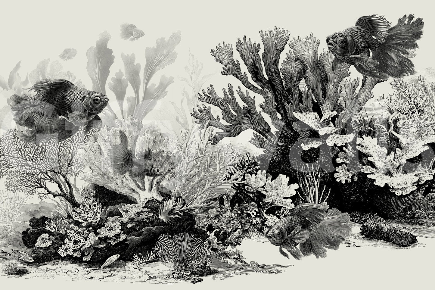 The Aquarium - Black & Cream Wall Mural