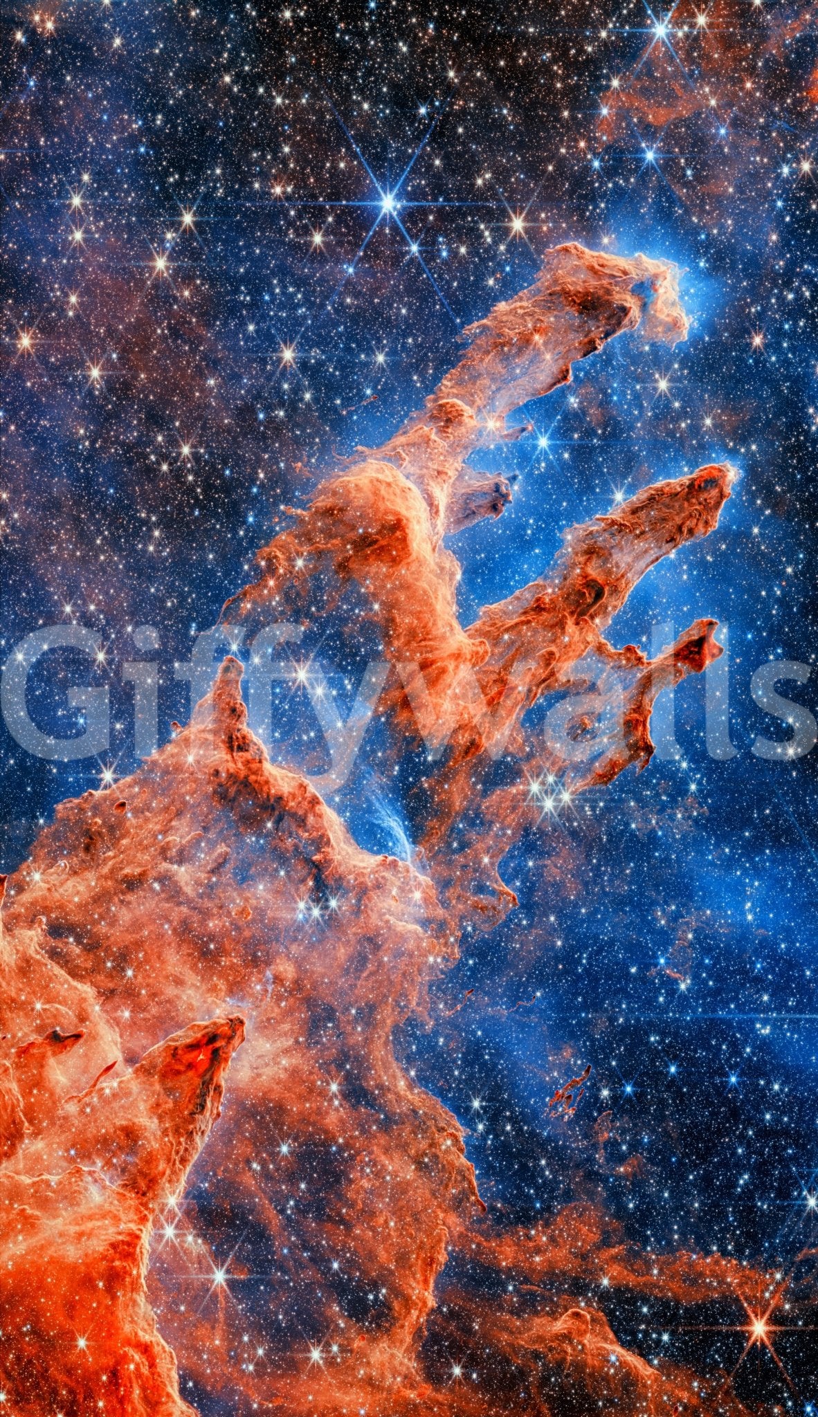 The feeling is one of fresh elegance.