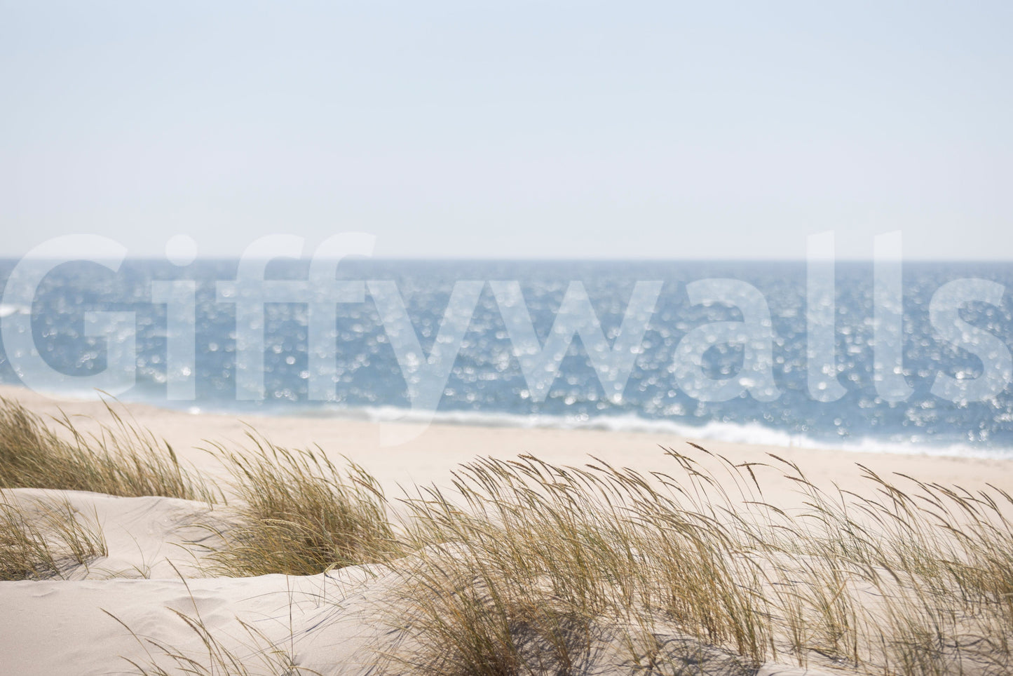 Beach Grass Hues wallpaper mural close-up of windswept dune grass and a sparkling blue sea horizon