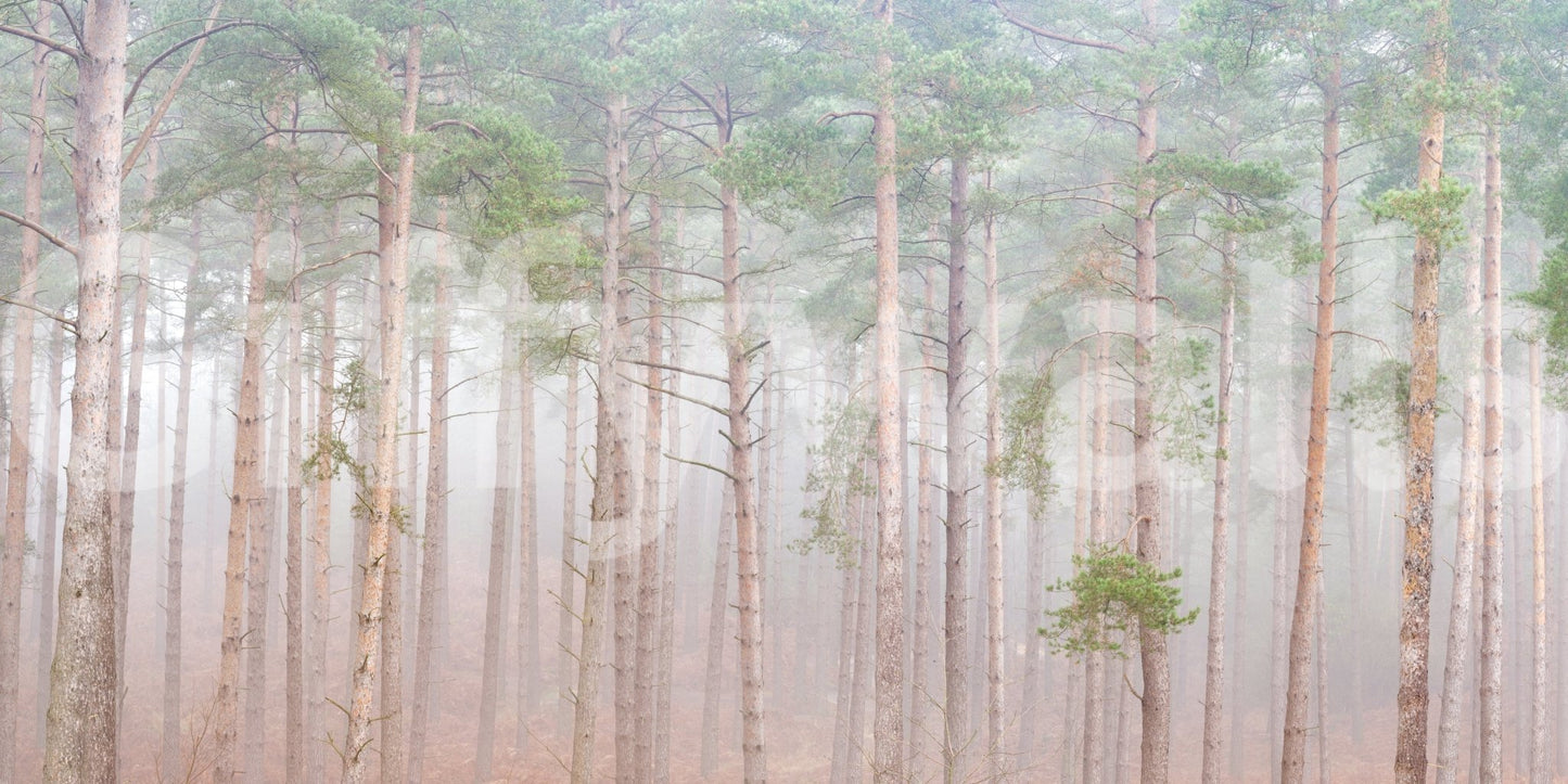 Great for meditation areas.