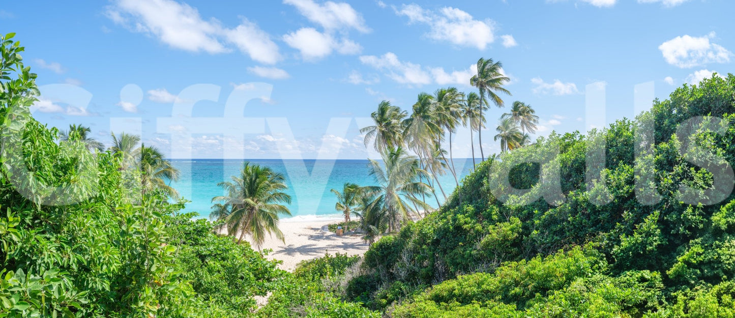 Oceanfront wall mural with blue water and palm trees.