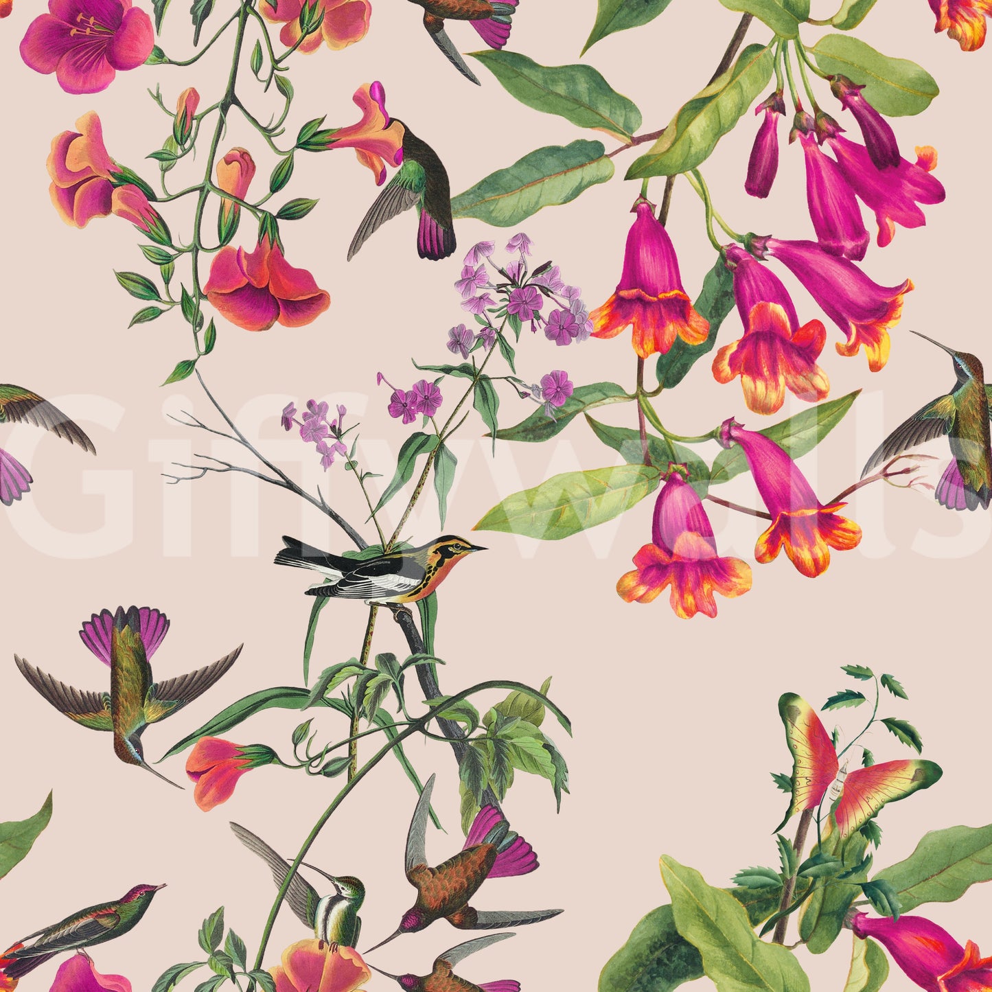 Tropical Hummingbird Rhapsody Wallpaper