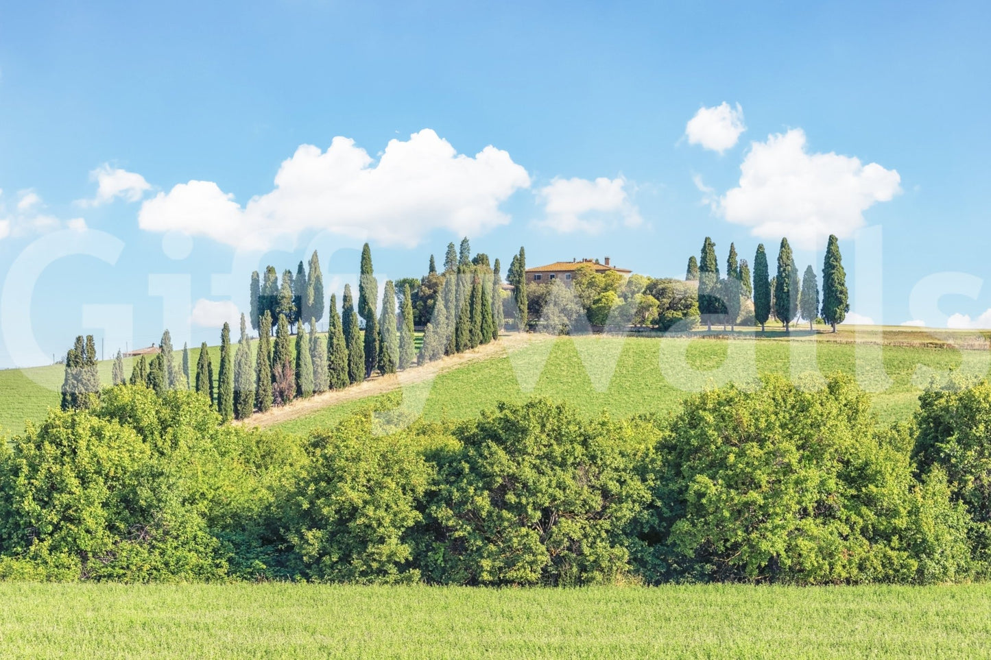 Bright sky over Tuscan fields mural