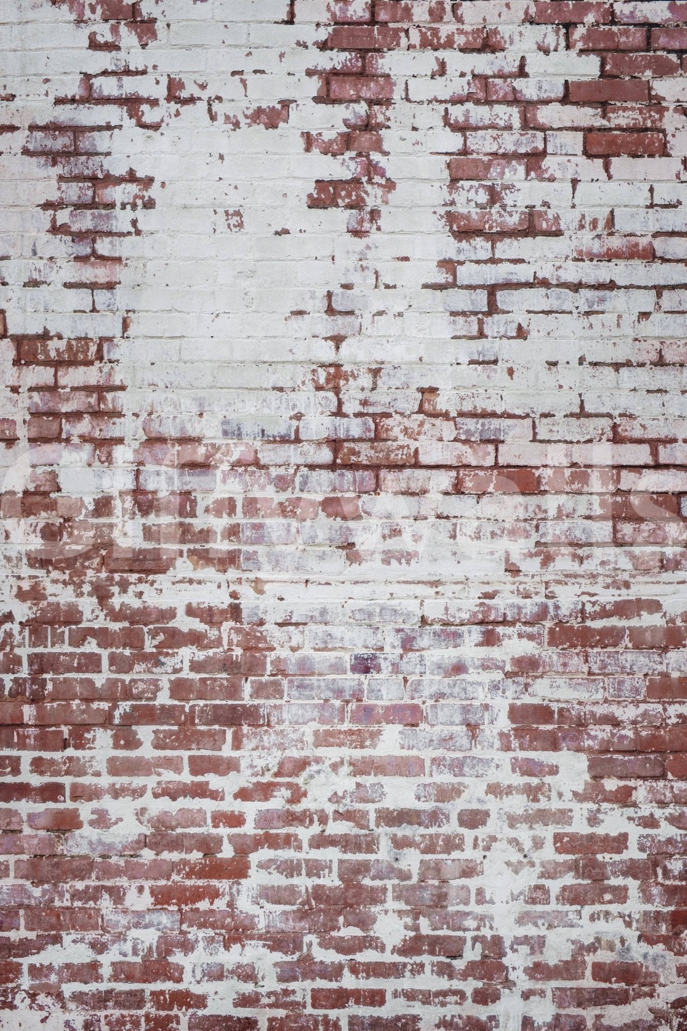 Urban Decay Brick wallpaper mural shown as a full-wall mural of distressed red brick with patchy peeling white paint