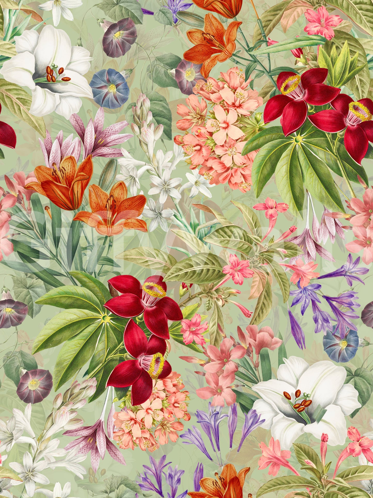 Floral and greenery wallpaper with vintage-inspired charm