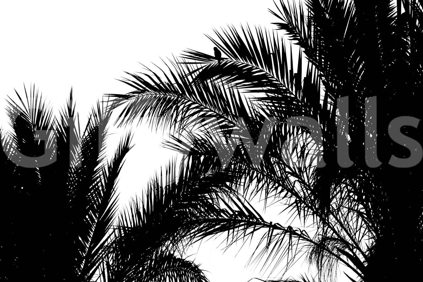 A detail of the warm tones in the scene.