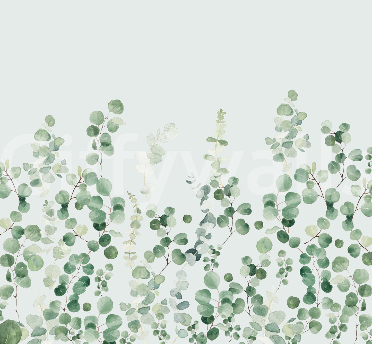 Eucalyptus Wall Mural