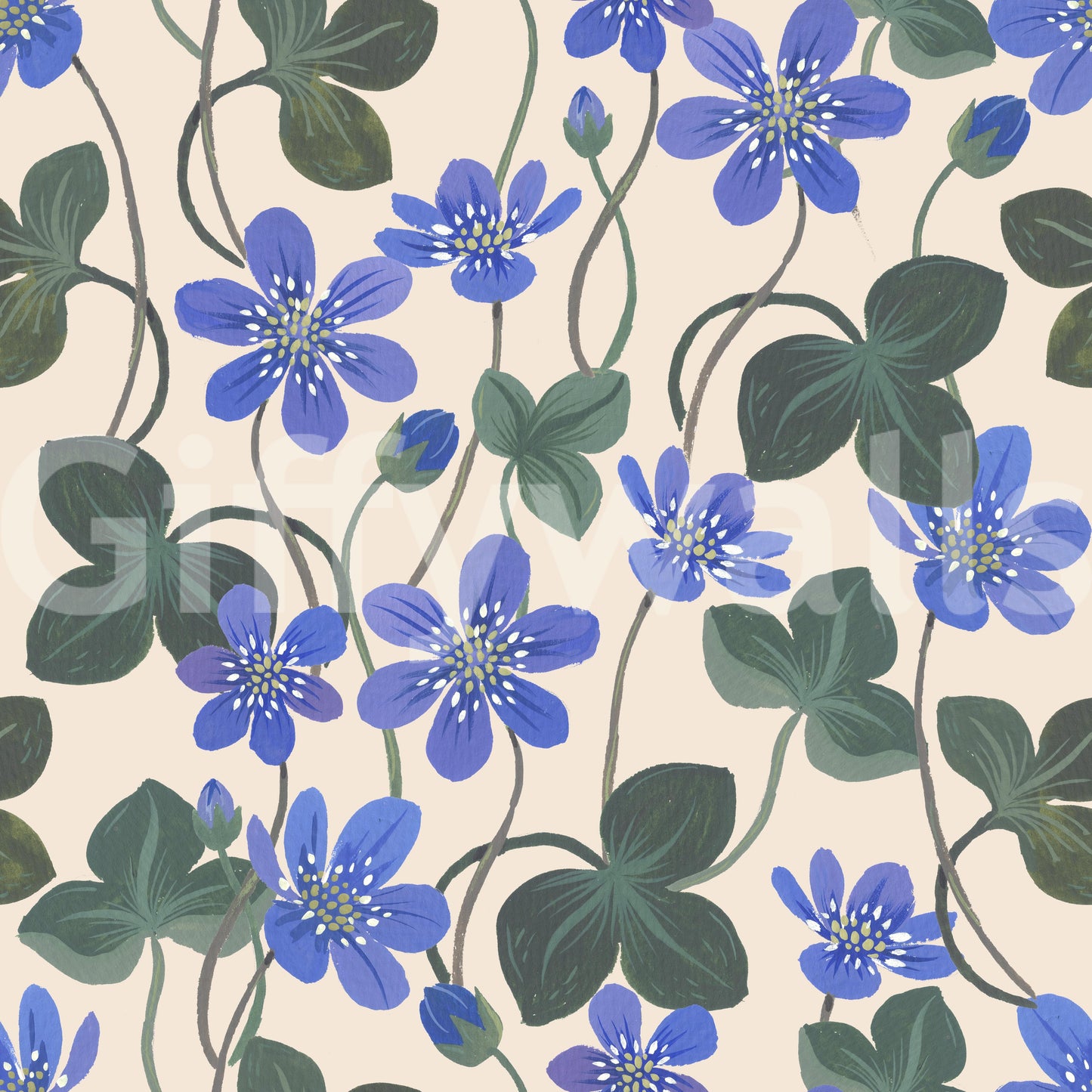 Blue Anemone Wallpaper