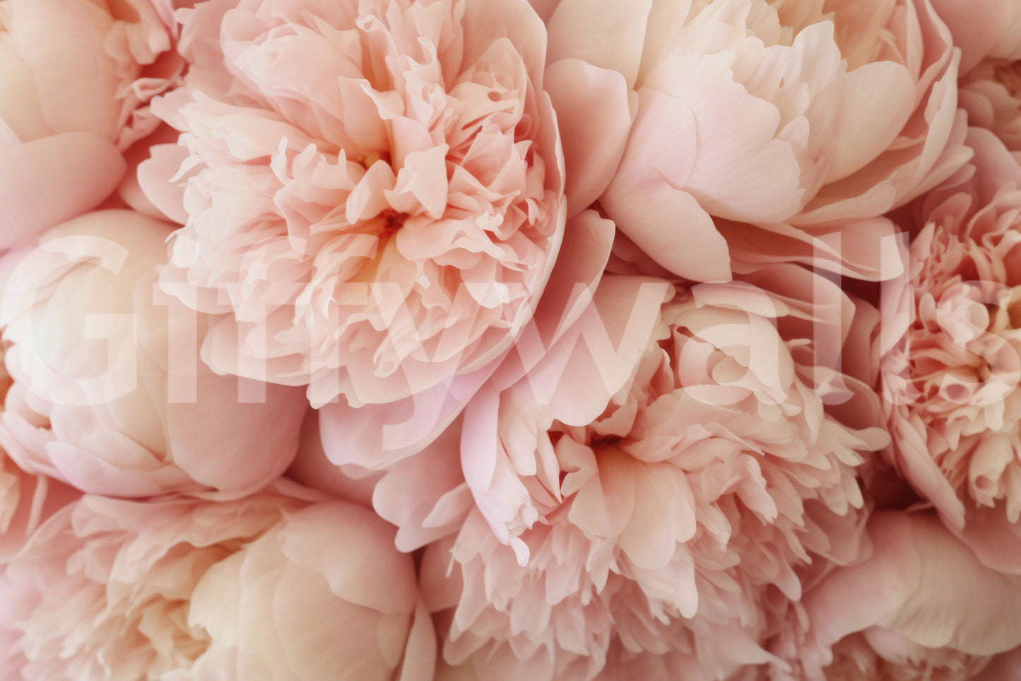 Nature-inspired pink mural