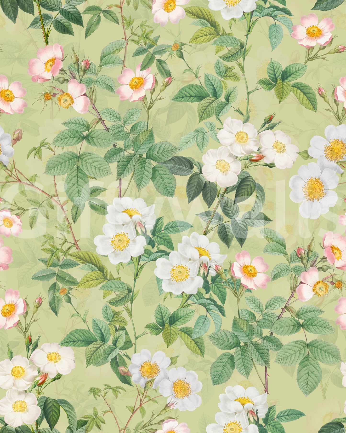 Vintage-inspired wallpaper with soft pink roses and detailed foliage.