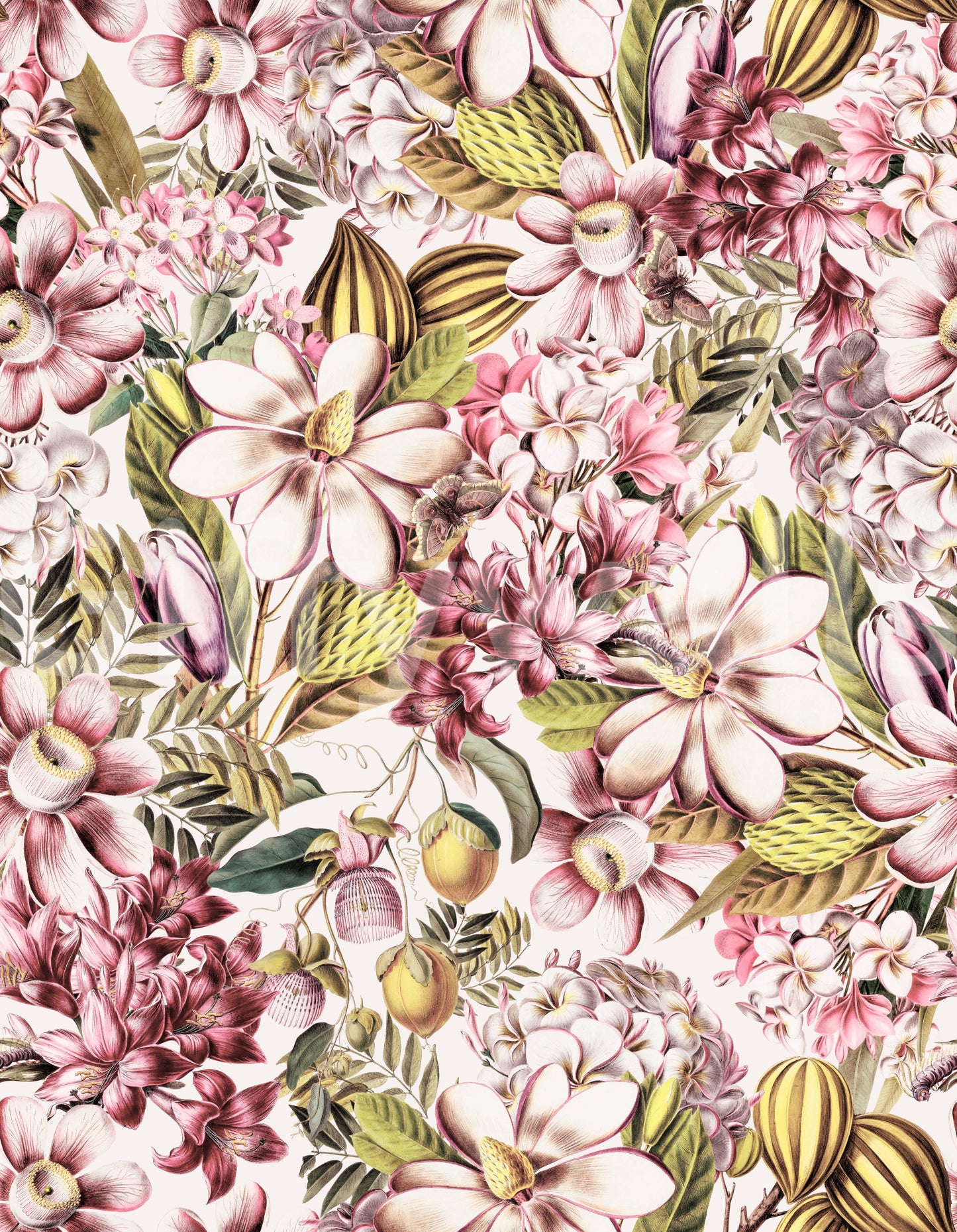 Soft floral wallpaper bringing vintage botanical charm to your space.