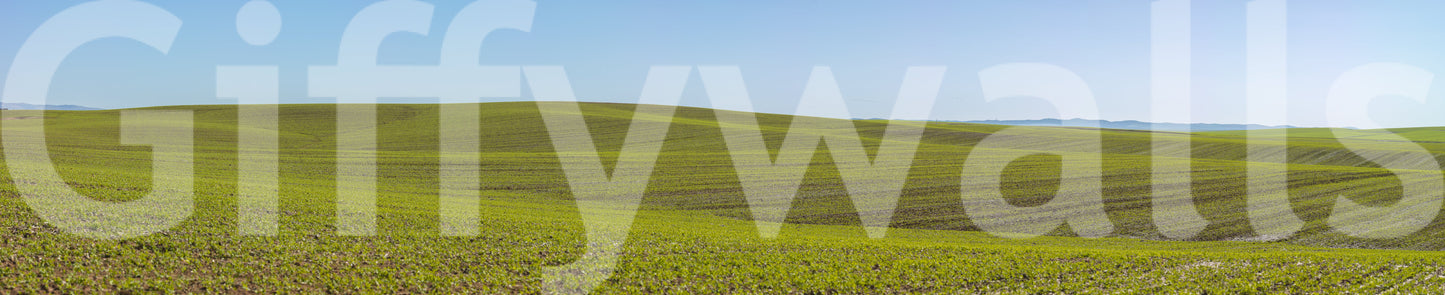 Soft wildflowers mural wallpaper