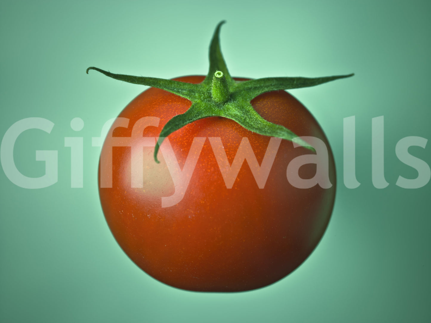 Red Tomato Wall Mural