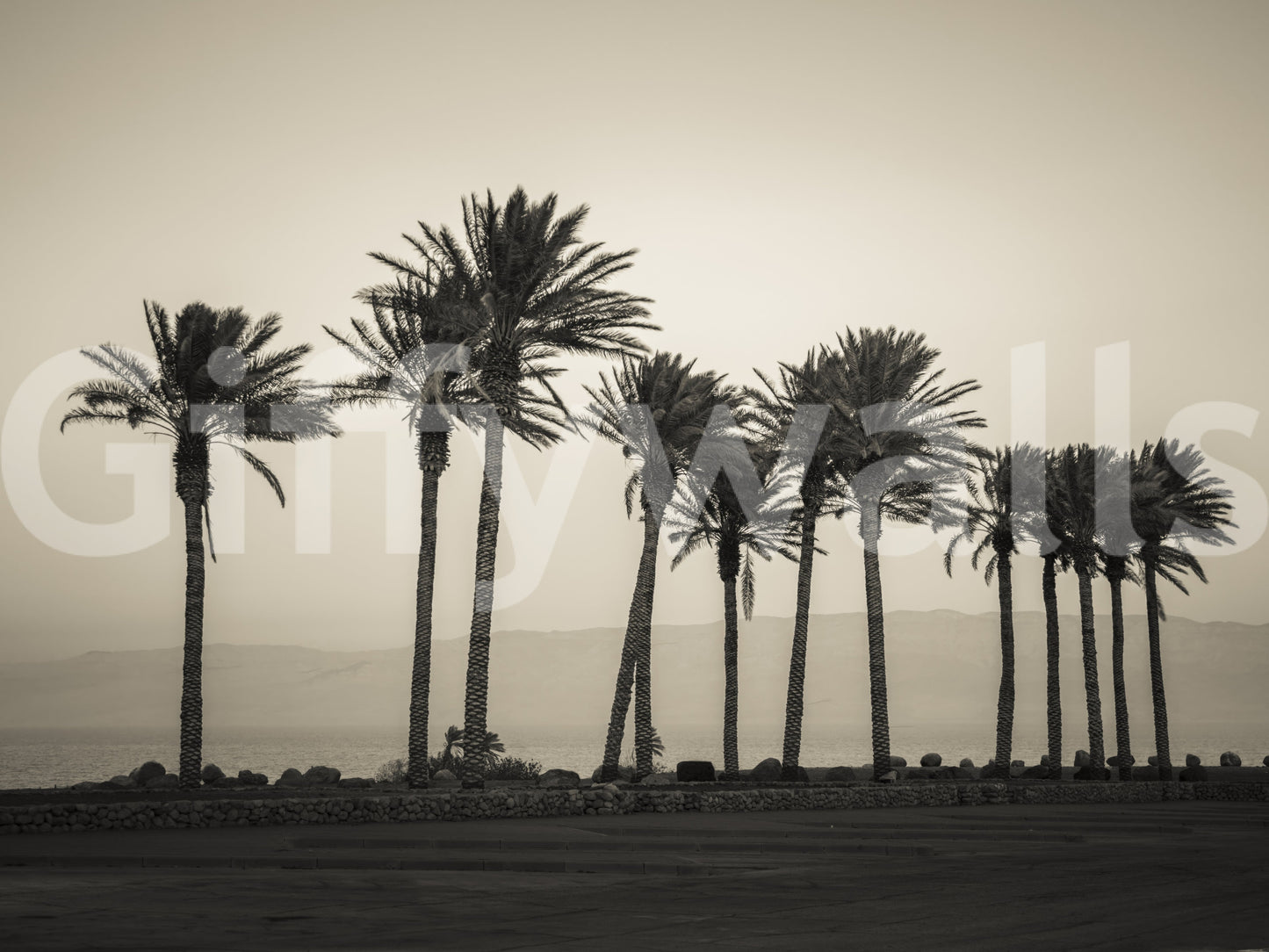 Ideal for creating a relaxing environment in bedrooms or living rooms