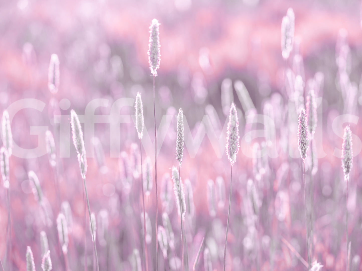 Pink floral meadow with pastel tones wallpaper
