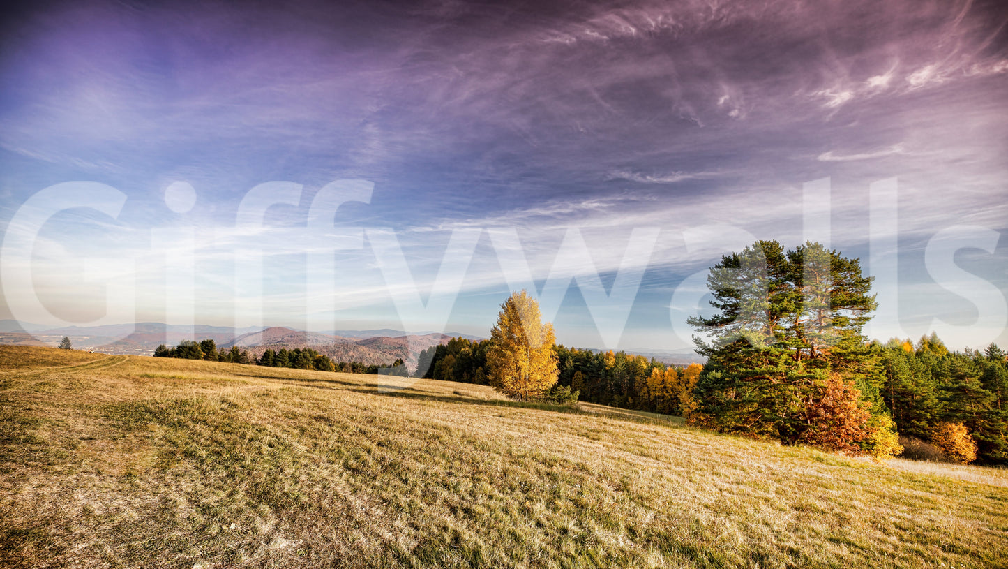 The Autumn Meadow mural gives the room a quiet, spacious feel.