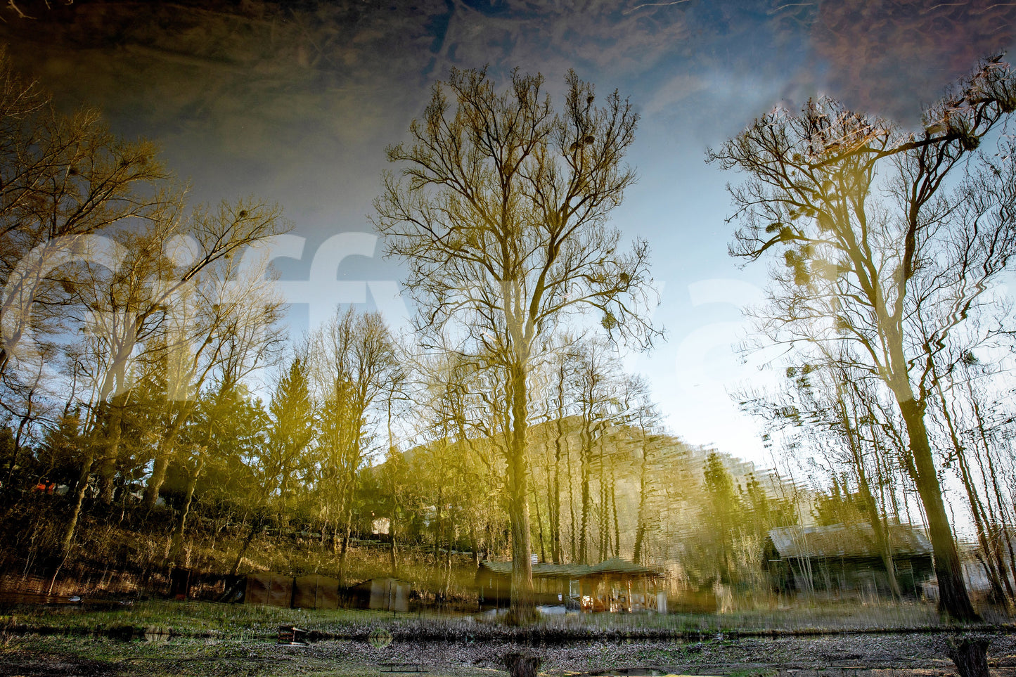 Soft tone water reflection mural