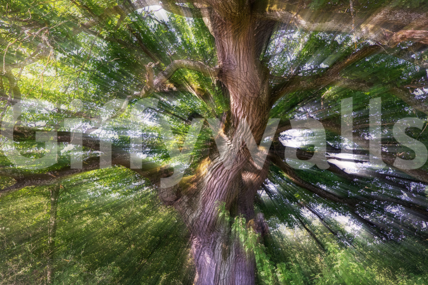 Bright green nature wall wallpaper