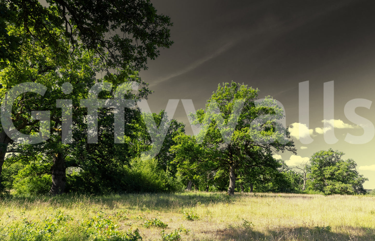 Neutral tone outdoor wallpaper