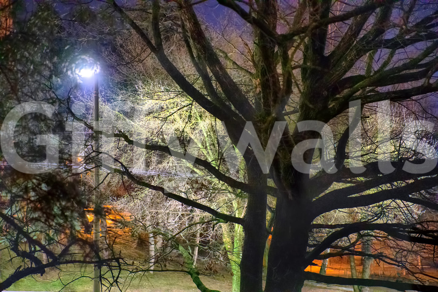 Dreamlike quality for home decor.