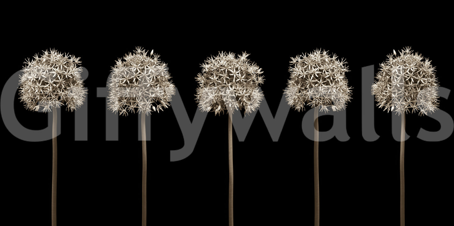 Wall decor evoking simple elegance and nature.