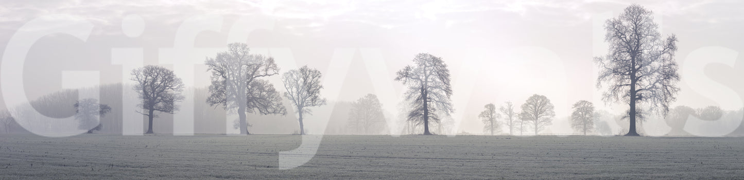 Wall decor evoking serenity and mystical nature.