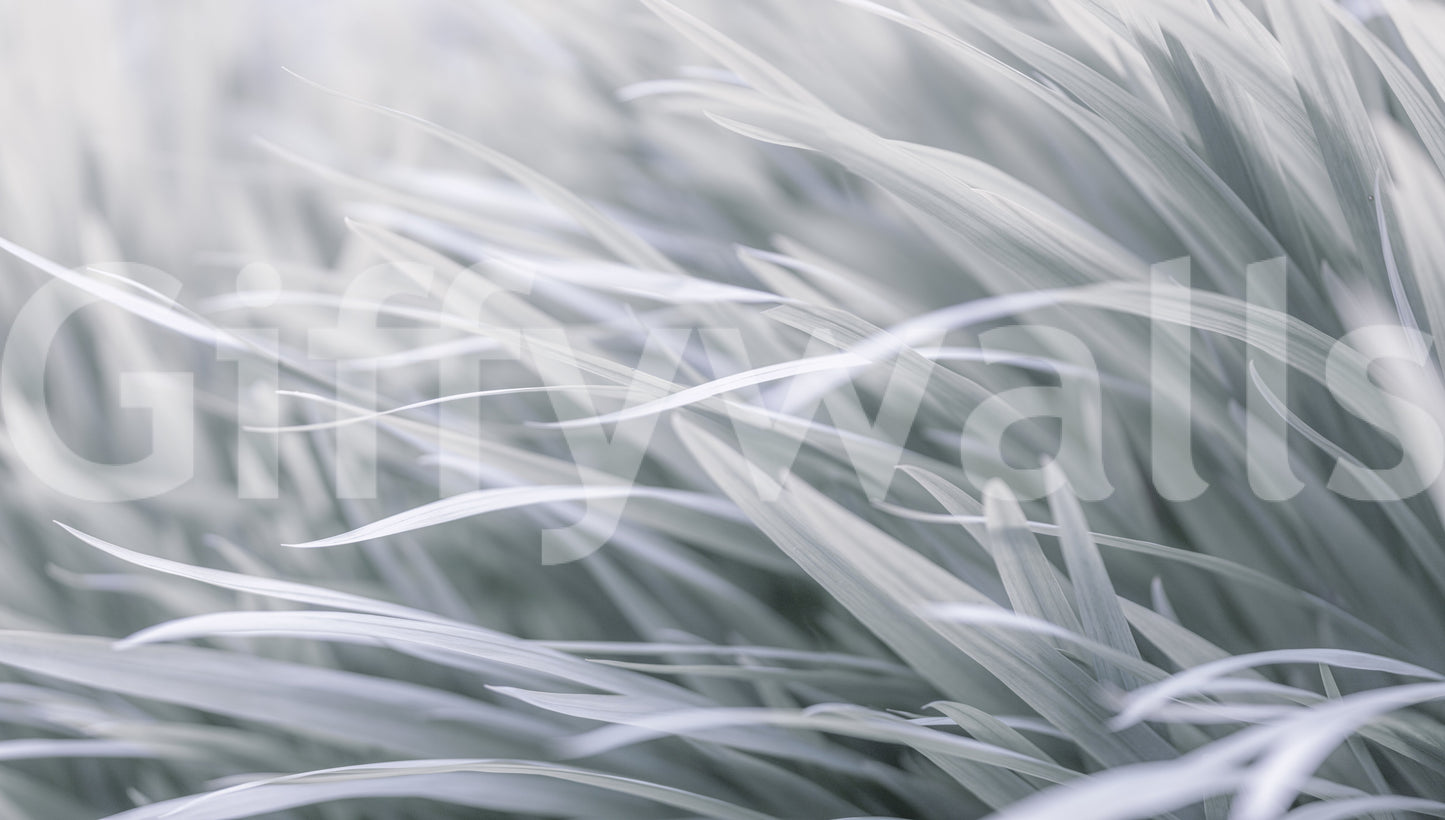 a close-up photo of light-colored grass