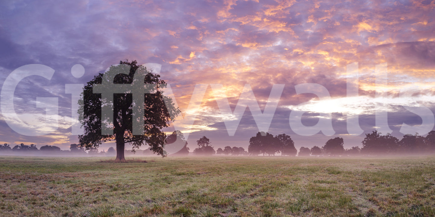 calm and tranquil wall art