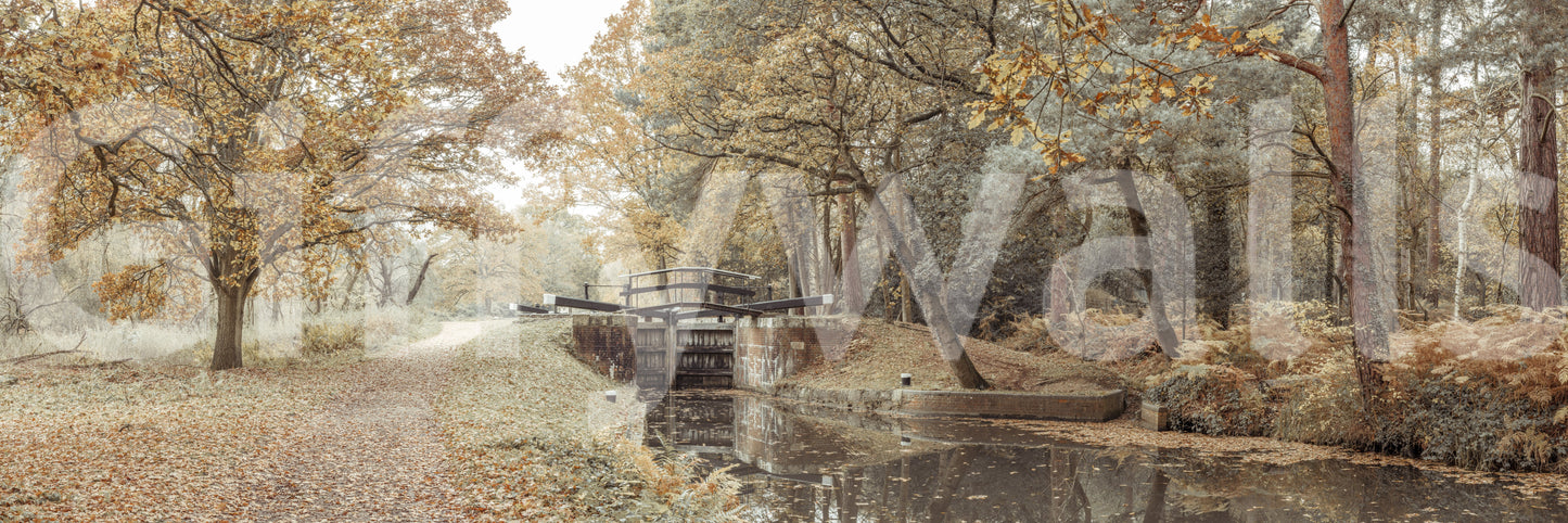 Canal's Embrace Wall Mural