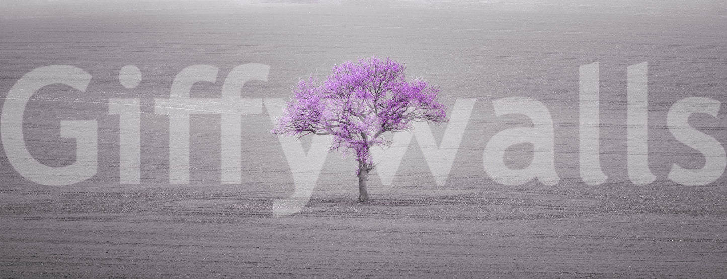 soft and calming floral scene