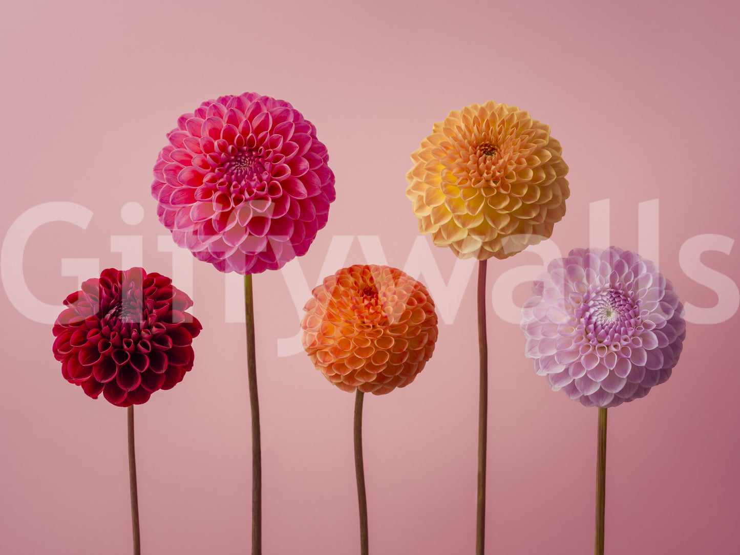 Focus on vibrant colors and floral details.