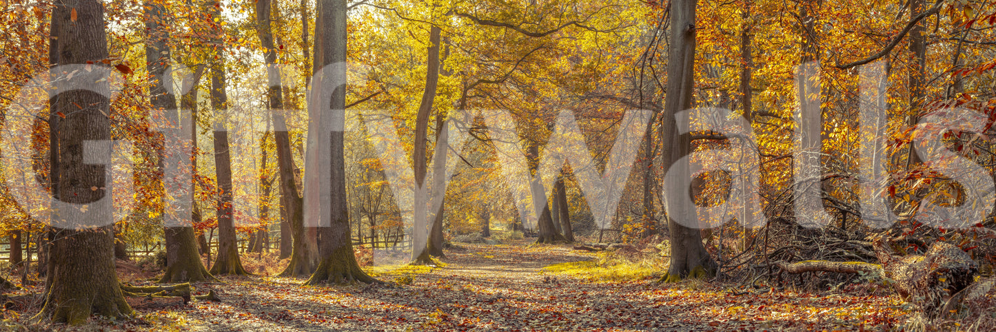 Wall decor evoking the beauty of the fall season.