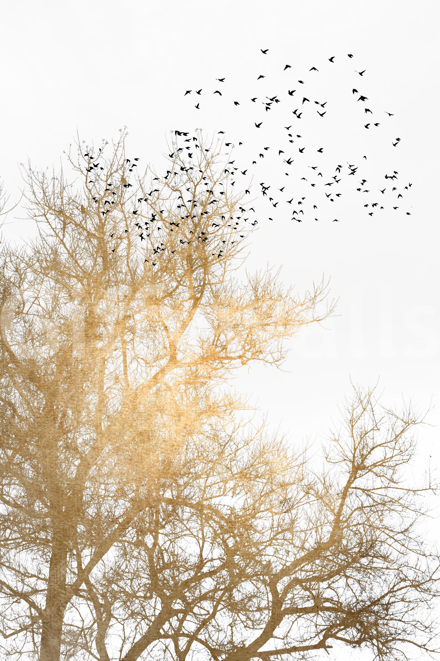 Suitable for a calming, inspirational, or modern interior.