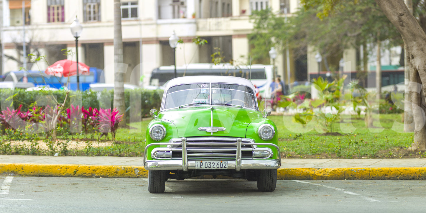 The mural acts as a sophisticated and unique focal point.